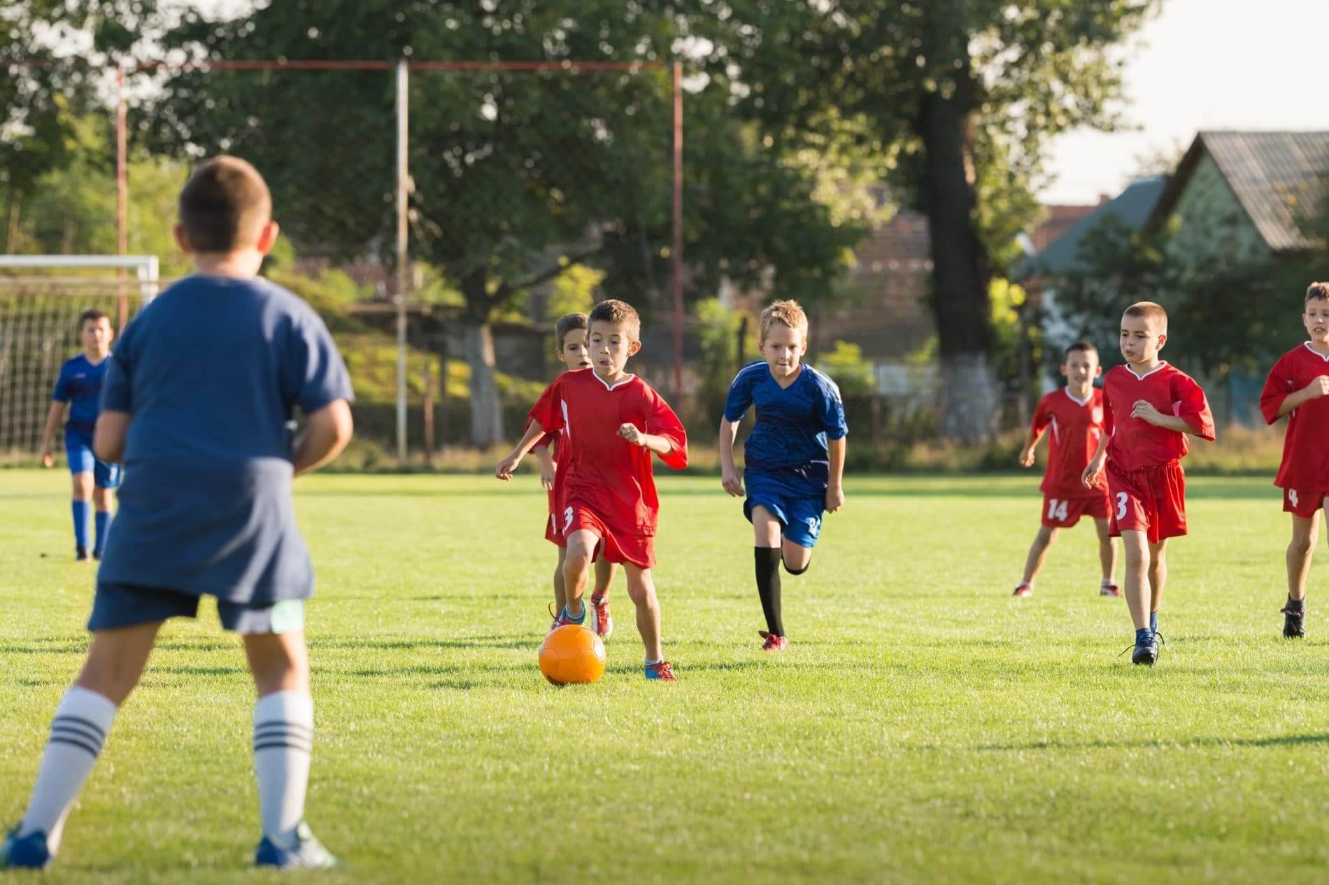 Regpack helps to streamline after school registration.